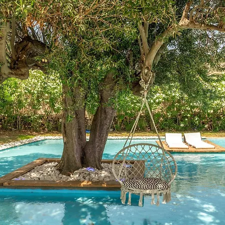 Ow Andros 5,private Whirlpool Kato Fellos