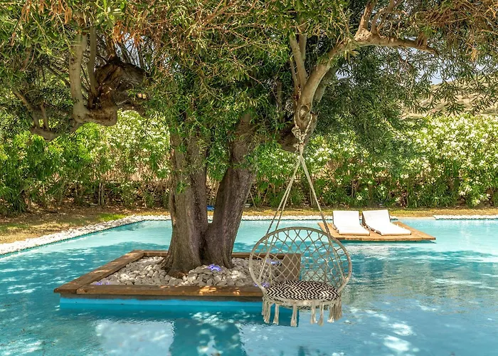 Ow Andros 5,private Whirlpool Aparthotel Kato Fellos